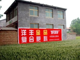 商水如何让墙体广告展现最大化效果