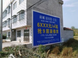 商水墙体广告质量分析