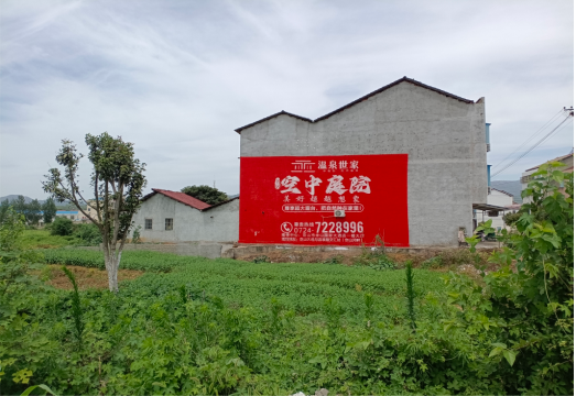 商水做墙体广告的意义